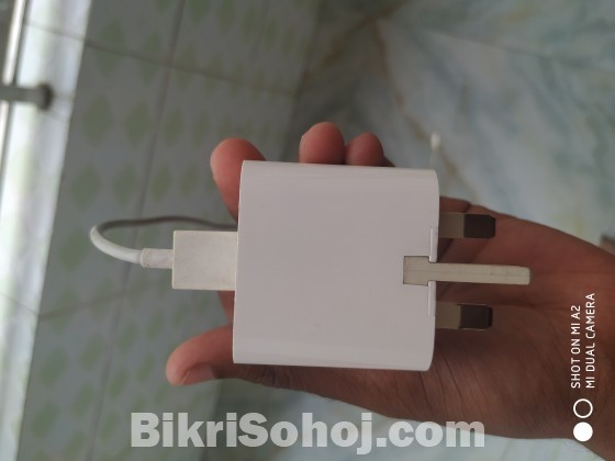 Mi charger (original)